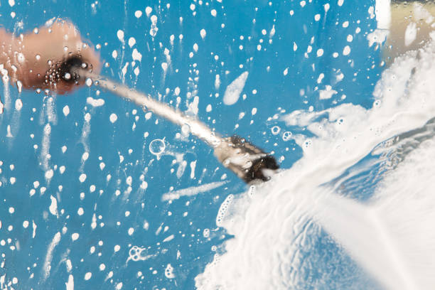 Animal Enclosure Cleaning in Wanakah, NY